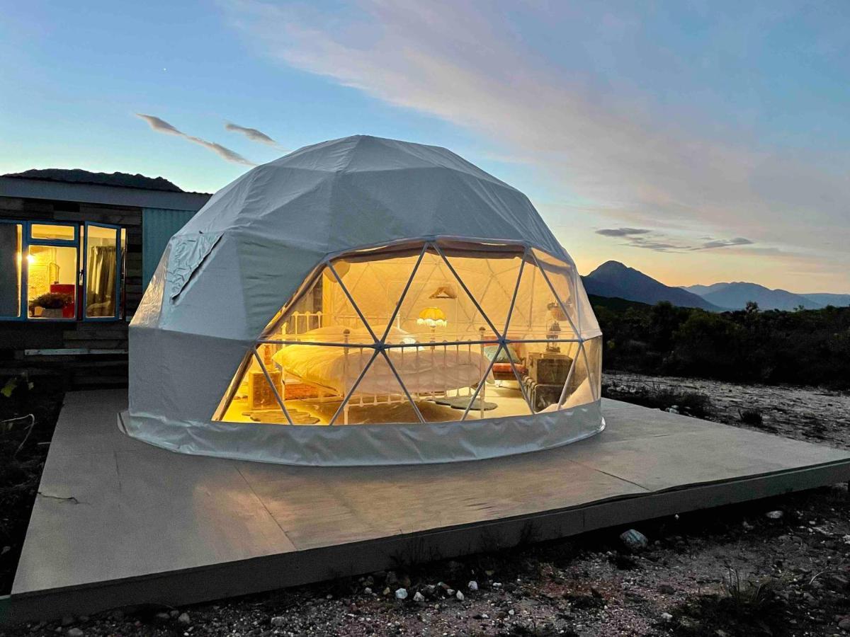 Starry Starry Night - Route 62 Villa Montagu Bagian luar foto